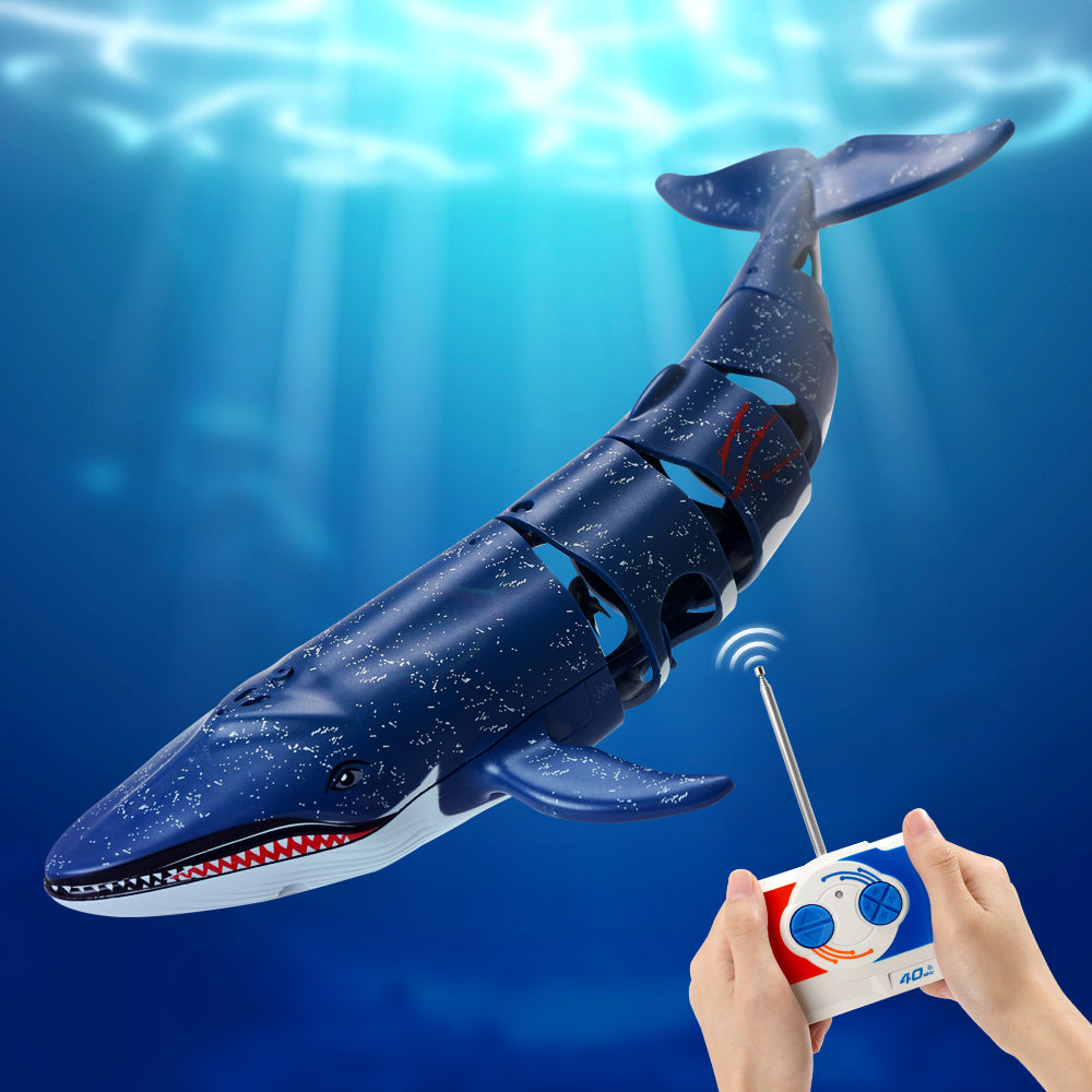 RC Whale Shark Toys