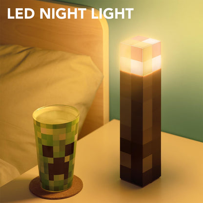 Torch Shape Lamp and Night Light